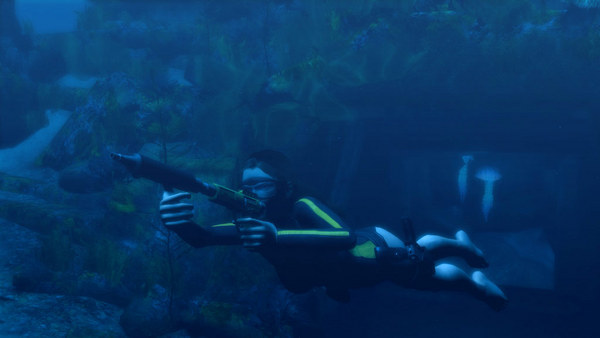 图片[2]-古墓丽影8地下世界/Tomb Raider: Underworld