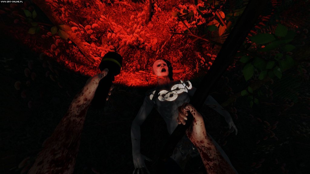 图片[6]-迷失森林/The Forest（v1.12正式版）