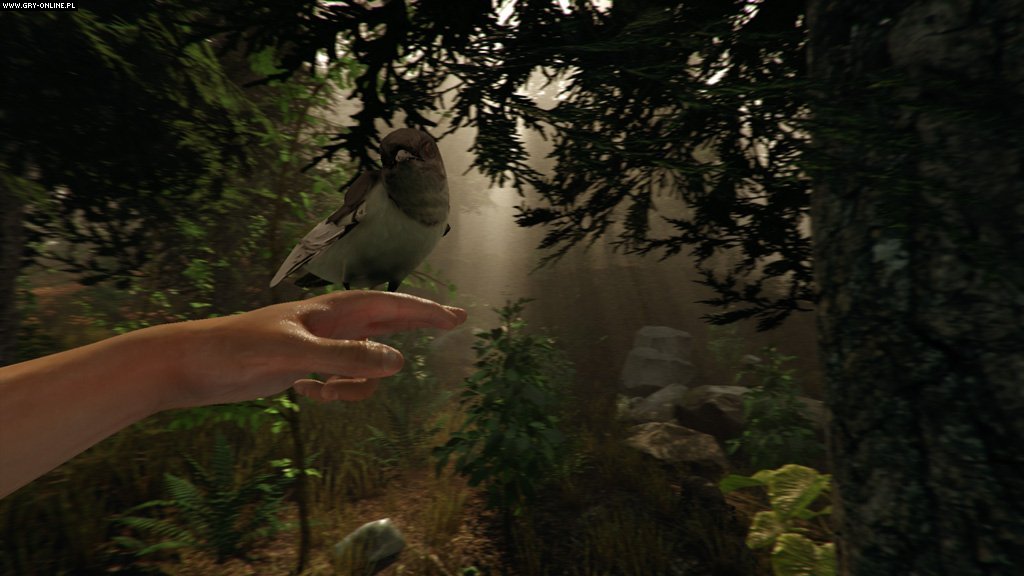 图片[12]-迷失森林/The Forest（v1.12正式版）