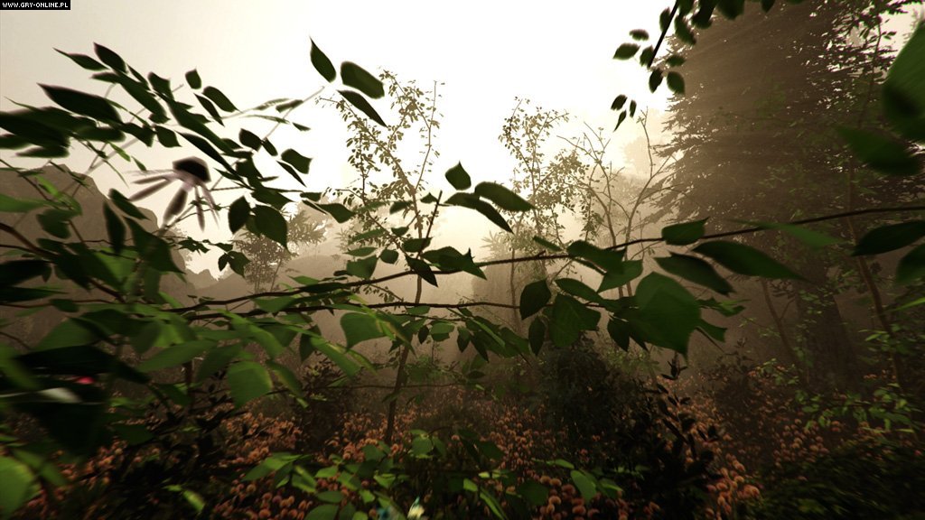 图片[14]-迷失森林/The Forest（v1.12正式版）