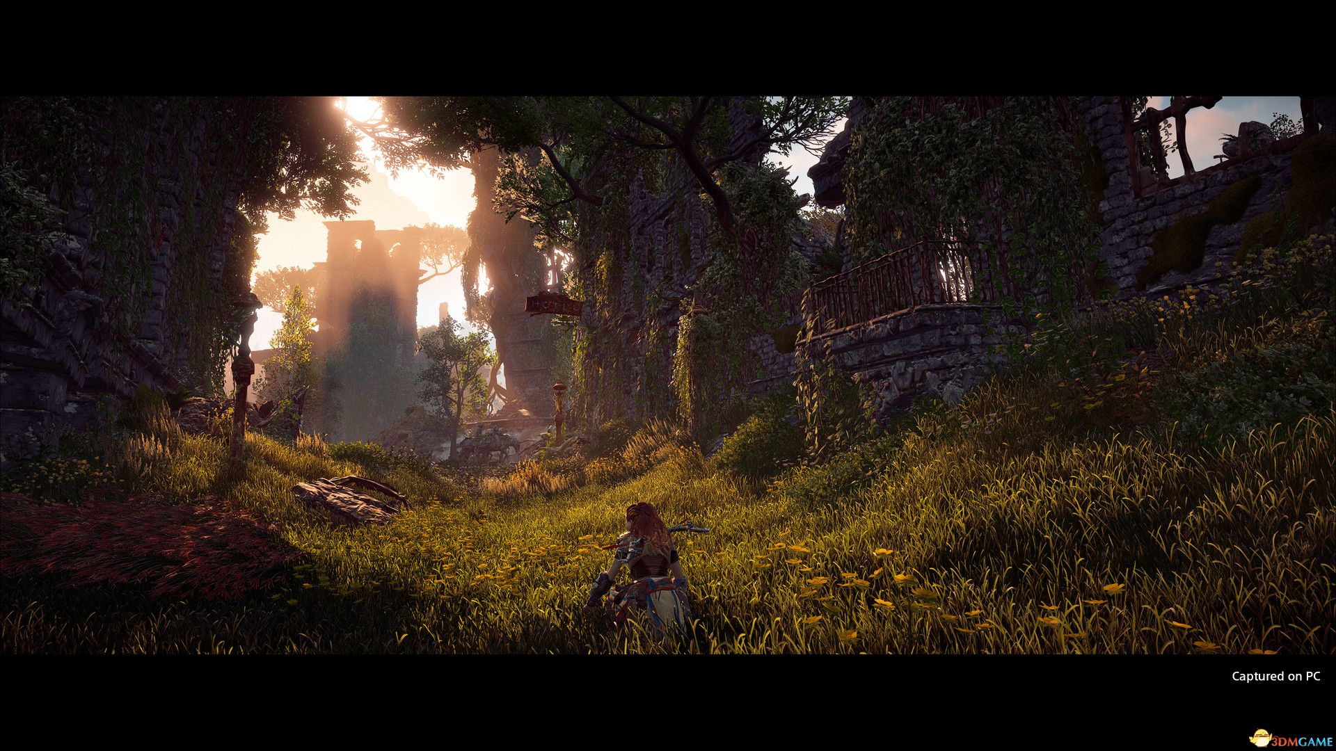 图片[10]-地平线：黎明时分/零之曙光/Horizon Zero Dawn（v1.10.H2）