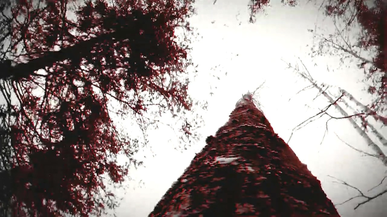 图片[2]-狼人之末日怒吼：地灵之血/Werewolf: The Apocalypse Earthblood