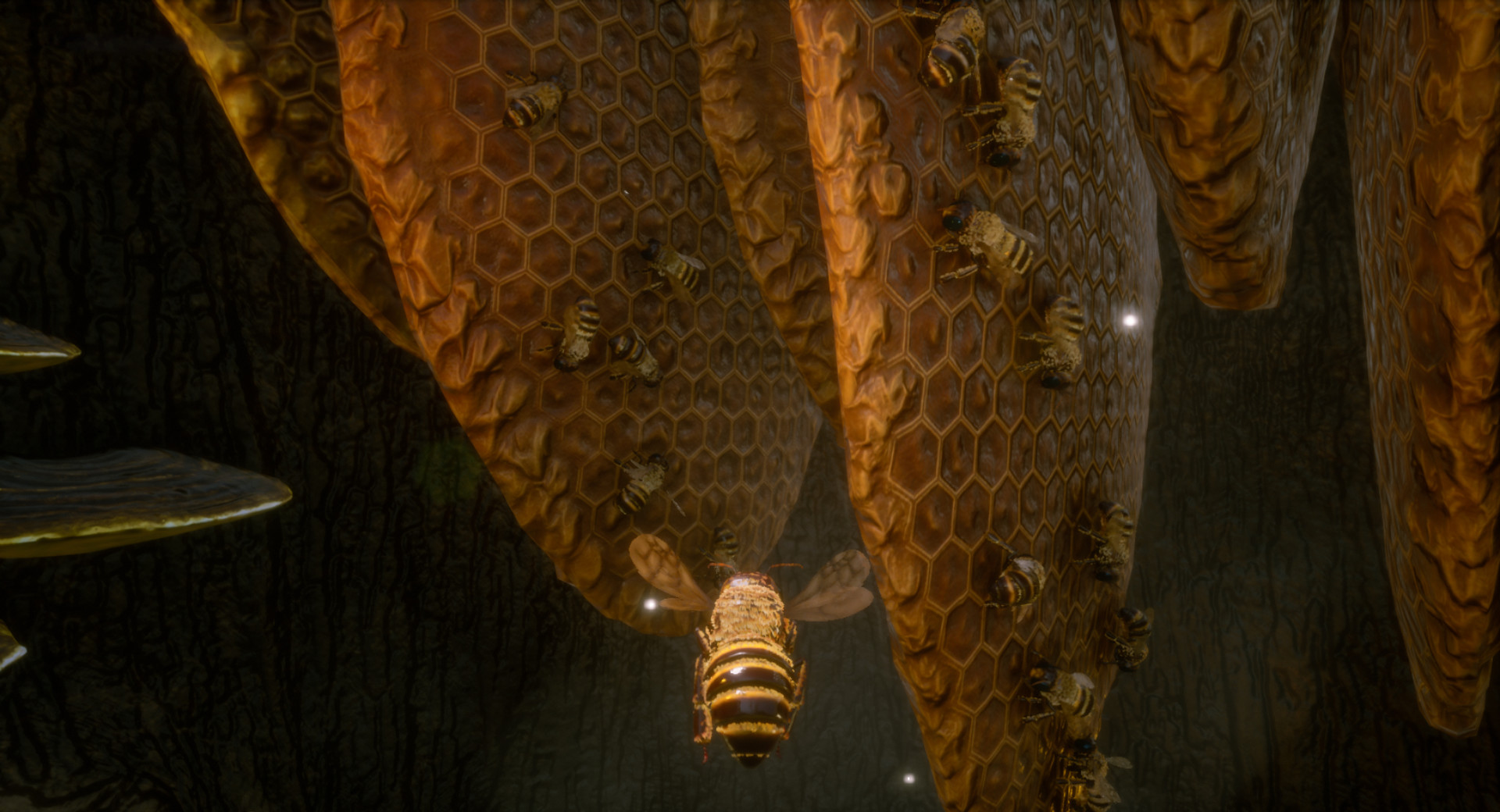 图片[12]-蜜蜂模拟/Bee Simulator（Build 20210126）