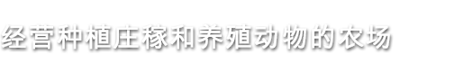 图片[18]-澳洲梦想镇/Dinkum（v0.4.3）