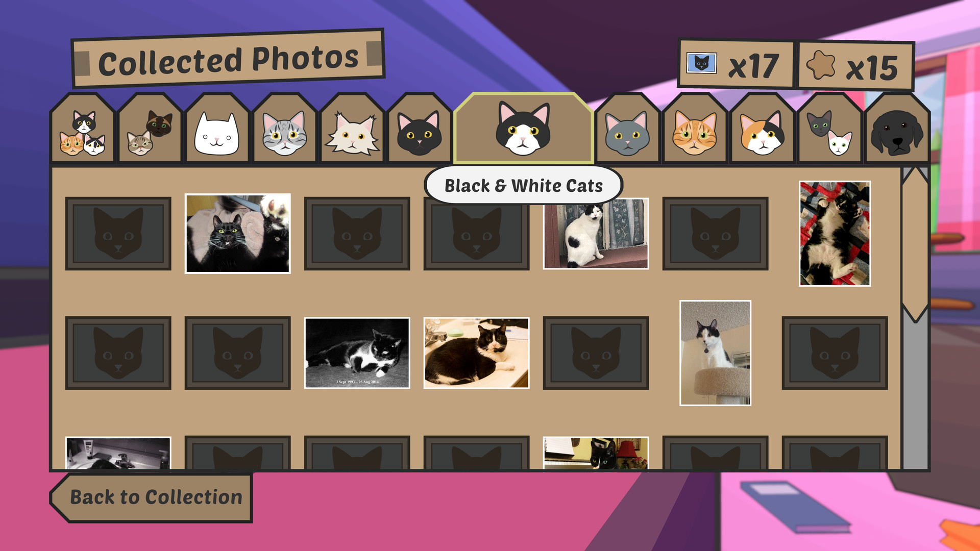 图片[16]-暴力喵喵拳：重置版/Catlateral Damage: Remeowstered