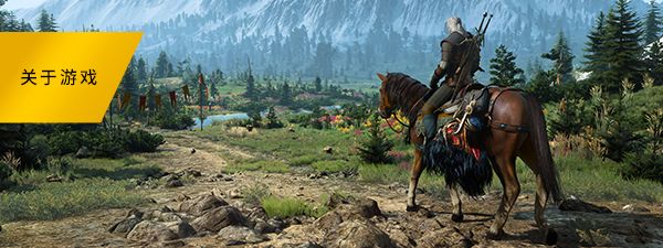 图片[10]-巫师3：狂猎-次世代完全版/The Witcher 3: Wild Hunt（V4.0.0-中文语音+全DLC+全季票）