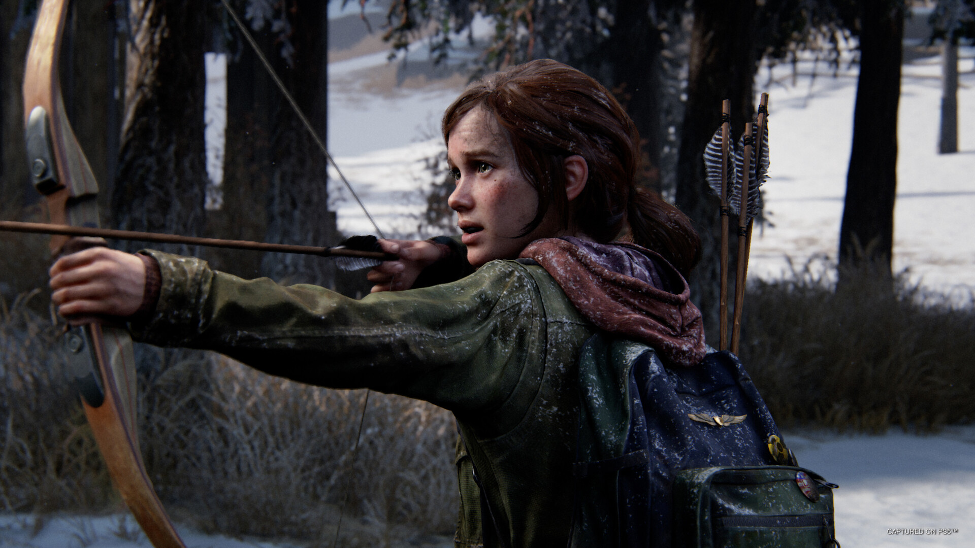 图片[22]-最后生还者第一部/美末1数字豪华版/The Last of Us™ Part I（更新 v1.1.3.0 ）