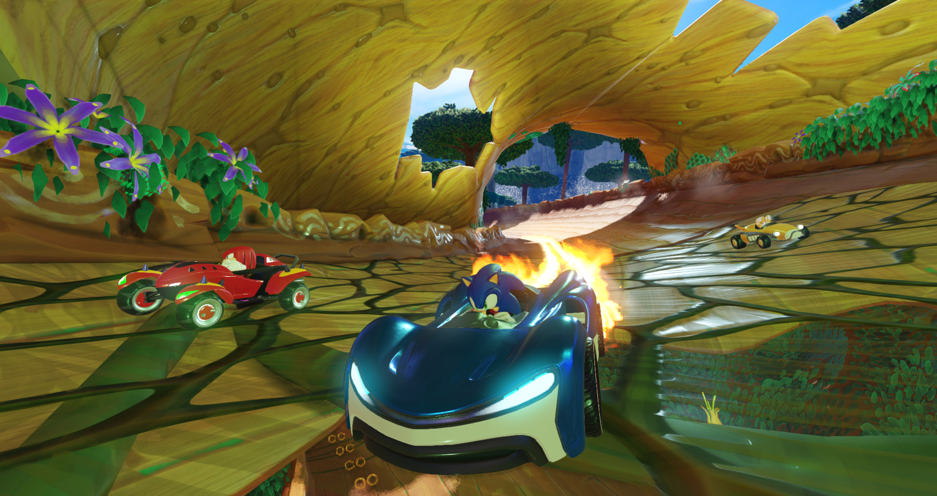 图片[8]-组队索尼克赛车/Team Sonic Racing