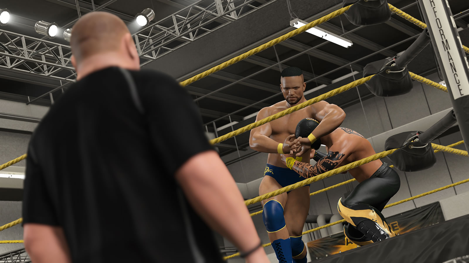 图片[12]-WWE 2K15