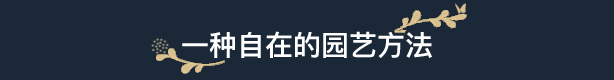 图片[4]-花园生涯：模拟佛系生活 （更新v914 ）