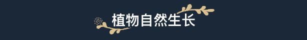 图片[16]-花园生涯：模拟佛系生活 （更新v914 ）