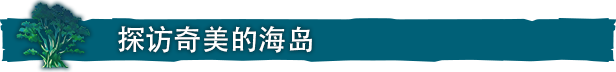 图片[4]-海之呼唤/Call of the Sea（v1.2.513.0）